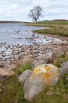 View Of Lochindorb Stock Photo