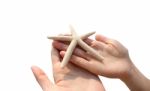 Hand Holding Starfish Stock Photo