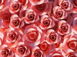 Background Roses Represents Design Petal And Flora Stock Photo