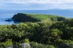 View Of Bruny Island Beach In The Late Afternoon Stock Photo