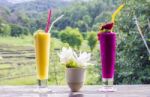 Fresh Jackfruit Juice And Dragon Fruit Juice Stock Photo