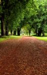 Road In A Garden Stock Photo