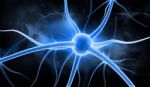 Neuron Stock Photo