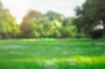 Garden With Blurred Images Stock Photo