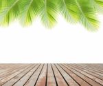 Green Coconut Leaves Over Wooden Floor Stock Photo