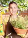 The Cultivation Of Plants In Pots Stock Photo