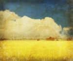 Yellow Field On Grunge Paper Stock Photo