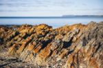 Beautiful View Of Rocky Cape, Tasmania Stock Photo