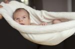 Newborn Baby Hanging Stock Photo