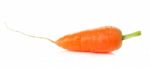 Carrot Isolated On White Background Stock Photo