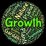 Growth Words Showing Growing Farming And Sow Stock Photo