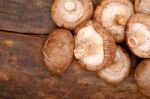 Shiitake Mushrooms Stock Photo