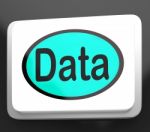 Data Button Shows Facts Information Knowledge Stock Photo