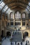 People Exploring  The National History Museum In London Stock Photo