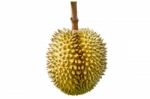 Durian On White Background Stock Photo