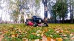 Fall Leaves And Yard Work Stock Photo