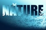 Abstract Nature Bird Background Stock Photo