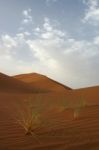 The Sahara Desert Stock Photo