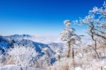 Seoraksan Mountains Is Covered By Morning Fog In Winter, Korea Stock Photo