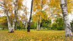 Autumn Season In Russia Moscow Stock Photo