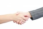 Shaking Hands Stock Photo