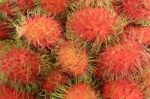 Rambutan Stock Photo