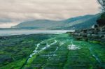 Tessellated Pavement In Pirates Bay Stock Photo