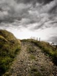 Rural Path Stock Photo