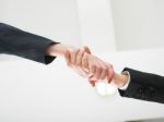 Handshaking business people Stock Photo