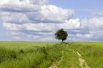 Countryside Stock Photo