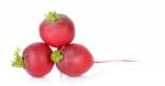 Red Radish Isolated On The White Background Stock Photo