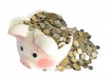 Pink Piggy Bank Broken With Money Stock Photo