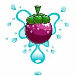 Splashing Water on Mangosteen Stock Photo