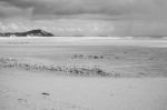 Pristine Beachfront At North Point, Moreton Island. Black And White Stock Photo