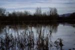 The Lake In The Autumn And The Cloudy Day Stock Photo