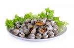 Boiled Cockles With Lettuce Isolated On White Background Stock Photo