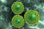 Green Bacterial Intruder Cells Causing Sickness Stock Photo