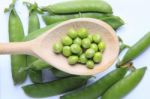 Peas On Wooden Spoon Stock Photo