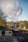 Bluebell Steam Train At Sheffield Park Station Stock Photo