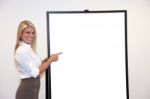 White Board Model Stock Photo