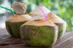 Coconut Water Drink Stock Photo