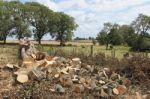 The Chainsaw Man Stock Photo