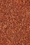 Red Rice  Stock Photo