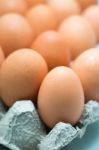 Egg In The Recycled Paper Egg Tray Isolated On White Stock Photo