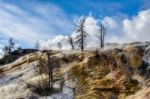 Mammoth Hot Springs In Yellowstone National Park Stock Photo