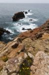 Beautiful Coastline Of Sagres Stock Photo