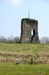 View Of The Ruins Of Knepp Castle Stock Photo