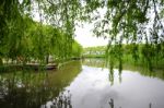 Trees Near The Lake And River Stock Photo