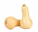 Butternut Squash Isolated On The White Stock Photo