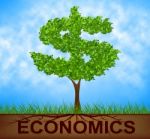 Economics Tree Indicates American Dollars And Branch Stock Photo